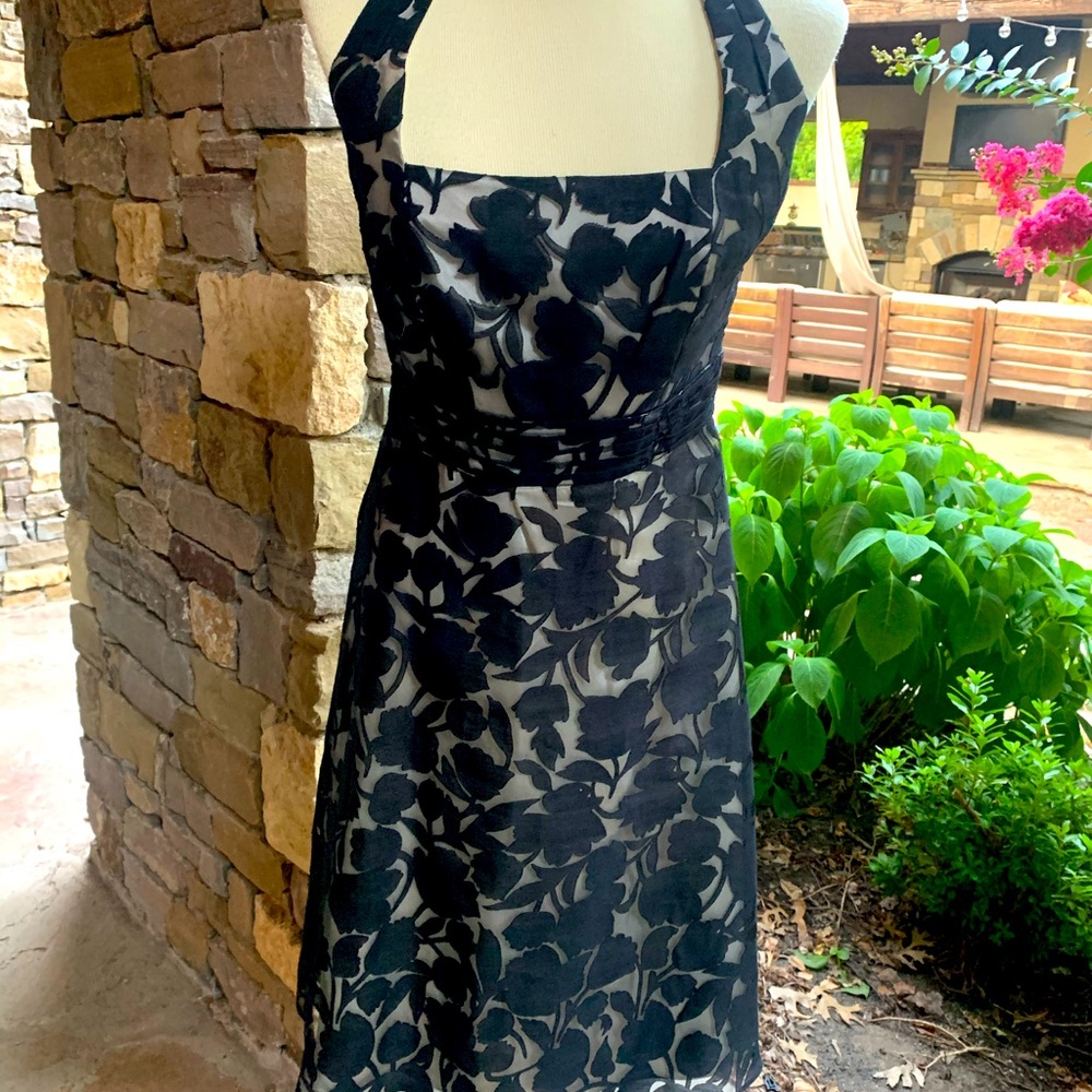 Ann Taylor Dress